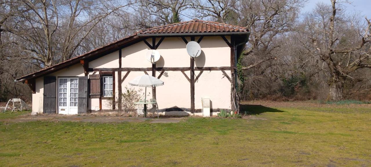 La Suite Du Bucheron Laharie Buitenkant foto