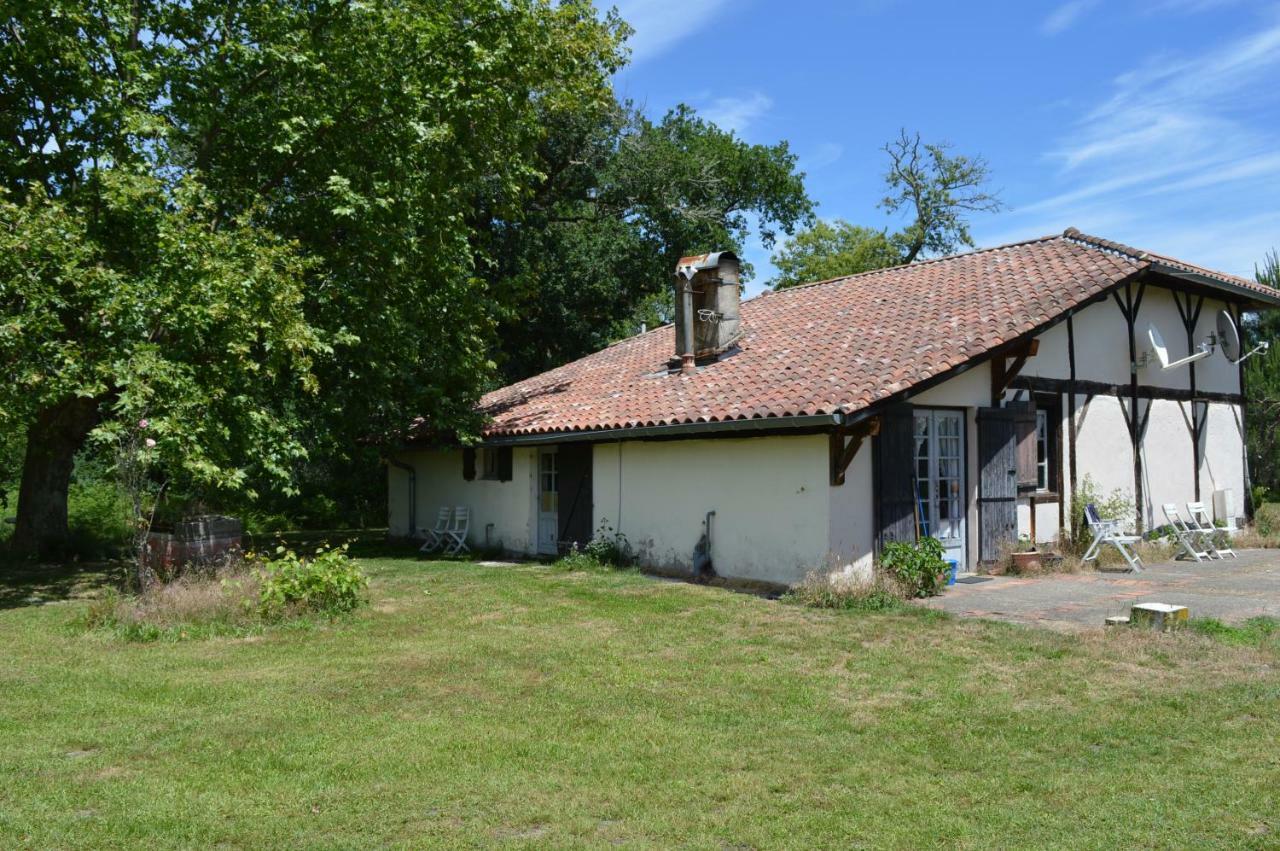 La Suite Du Bucheron Laharie Buitenkant foto