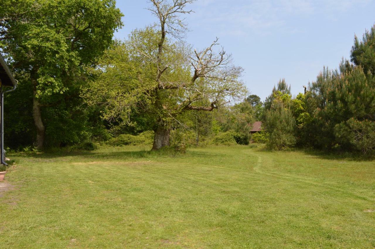 La Suite Du Bucheron Laharie Buitenkant foto