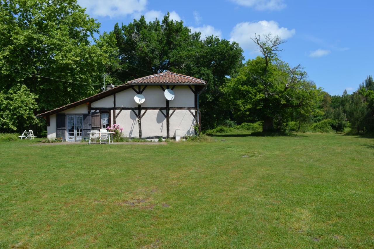 La Suite Du Bucheron Laharie Buitenkant foto